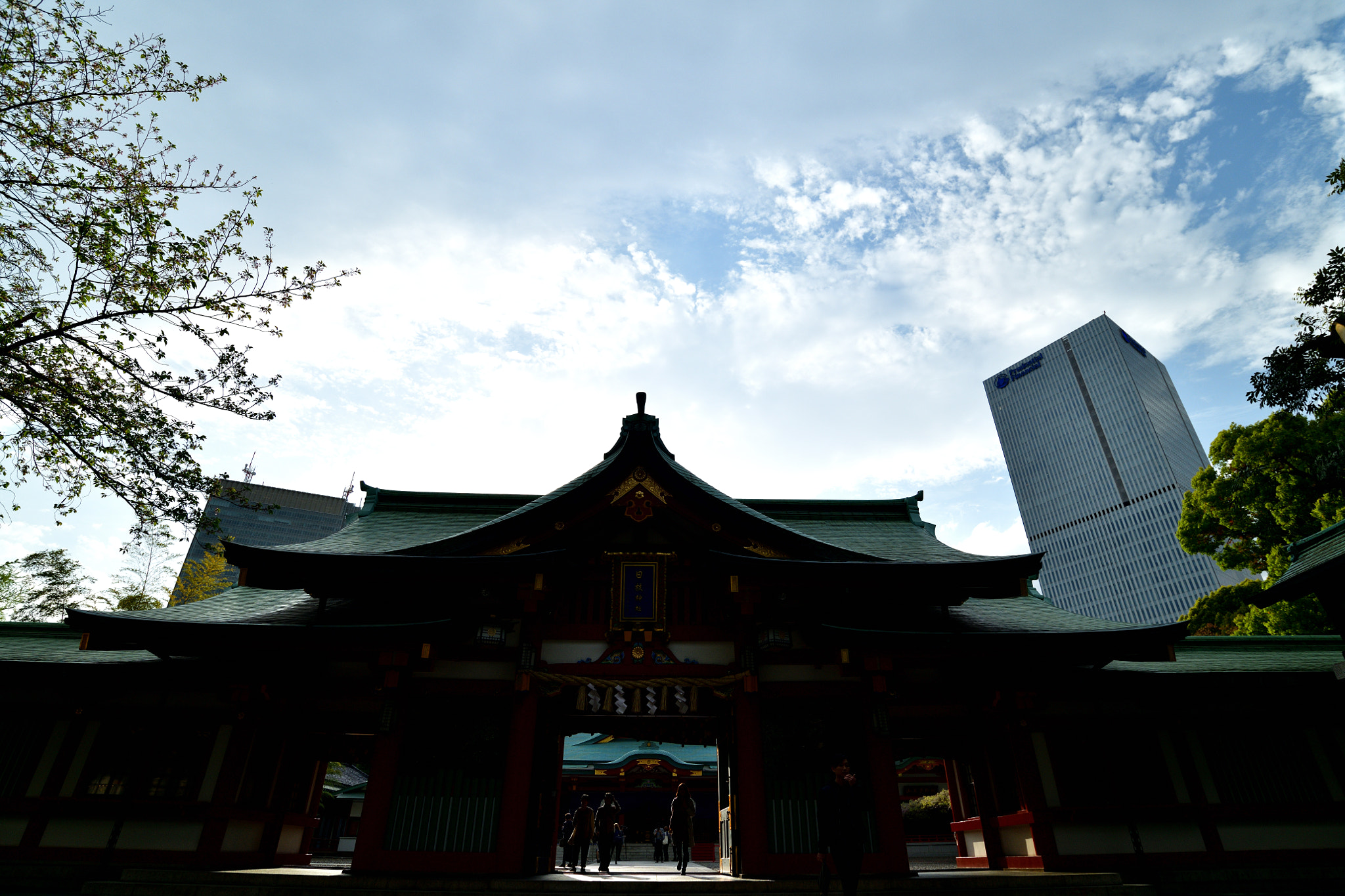 Nikon AF-S Nikkor 18-35mm F3.5-4.5G ED sample photo. Hie shrine photography
