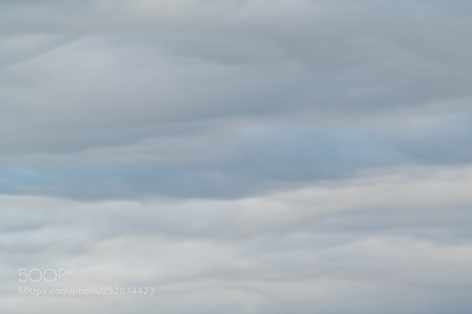 Nikon D850 sample photo. Untitled photography