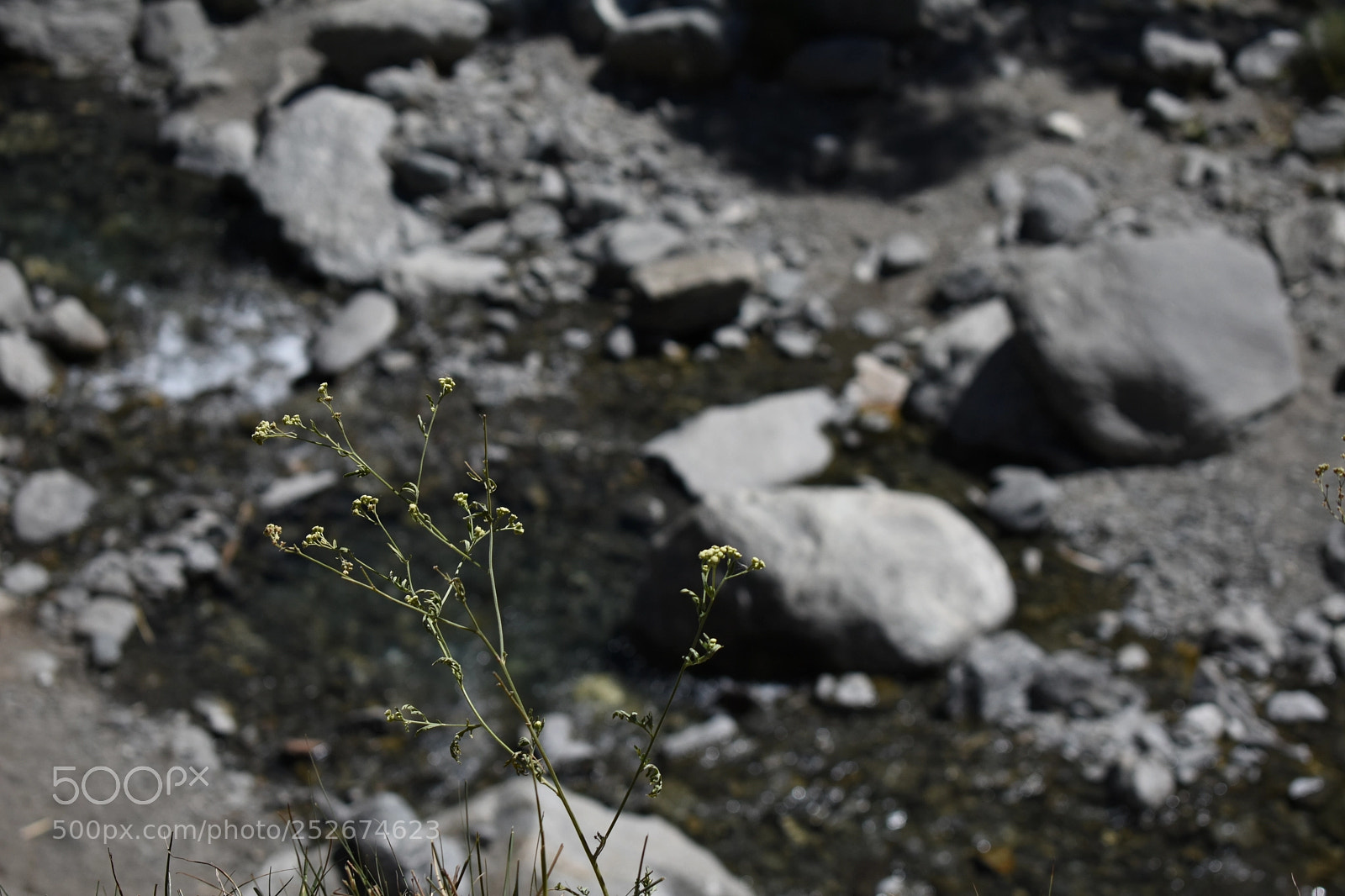 Nikon D3400 sample photo. 454.jpg photography