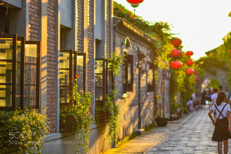 Nikon D7100 sample photo. 南京 photography