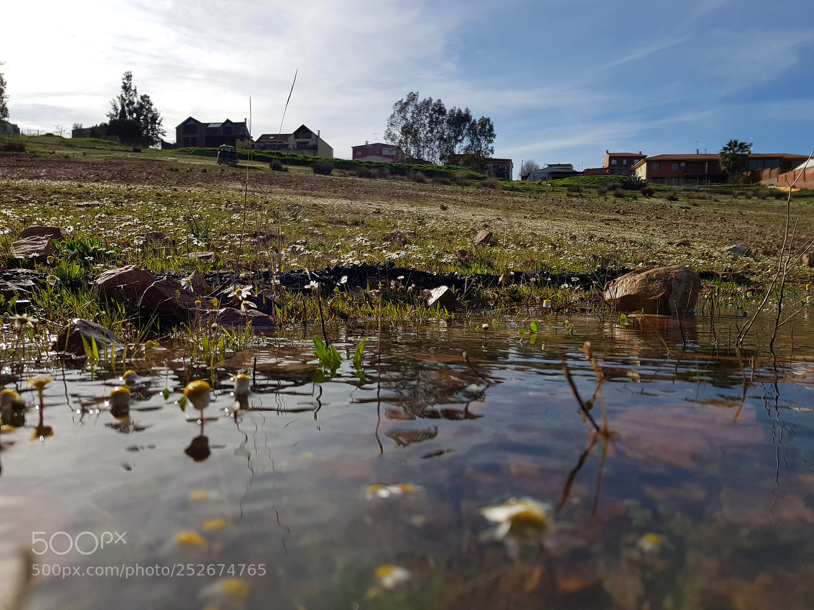 Samsung Galaxy S8 sample photo. Shore's water garden photography