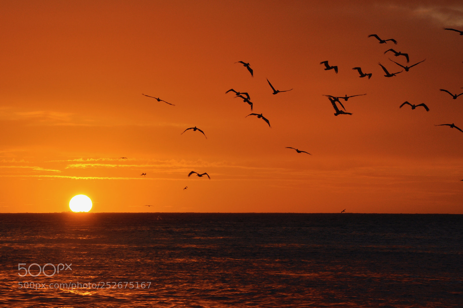 Nikon D90 sample photo. Sunset  photography