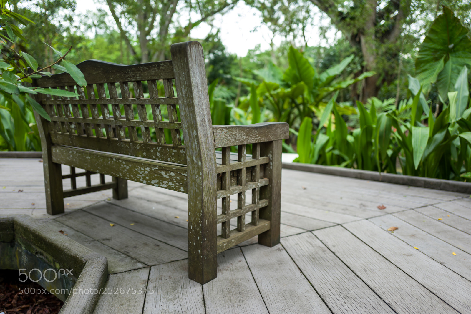 Leica Q (Typ 116) sample photo. Bench in the botanic photography