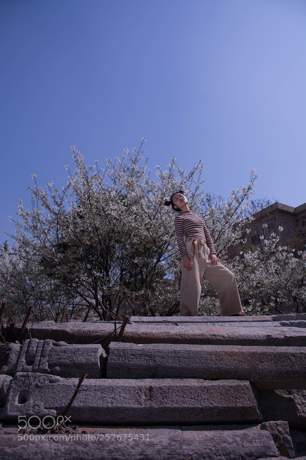 Nikon D7100 sample photo. Spring photography