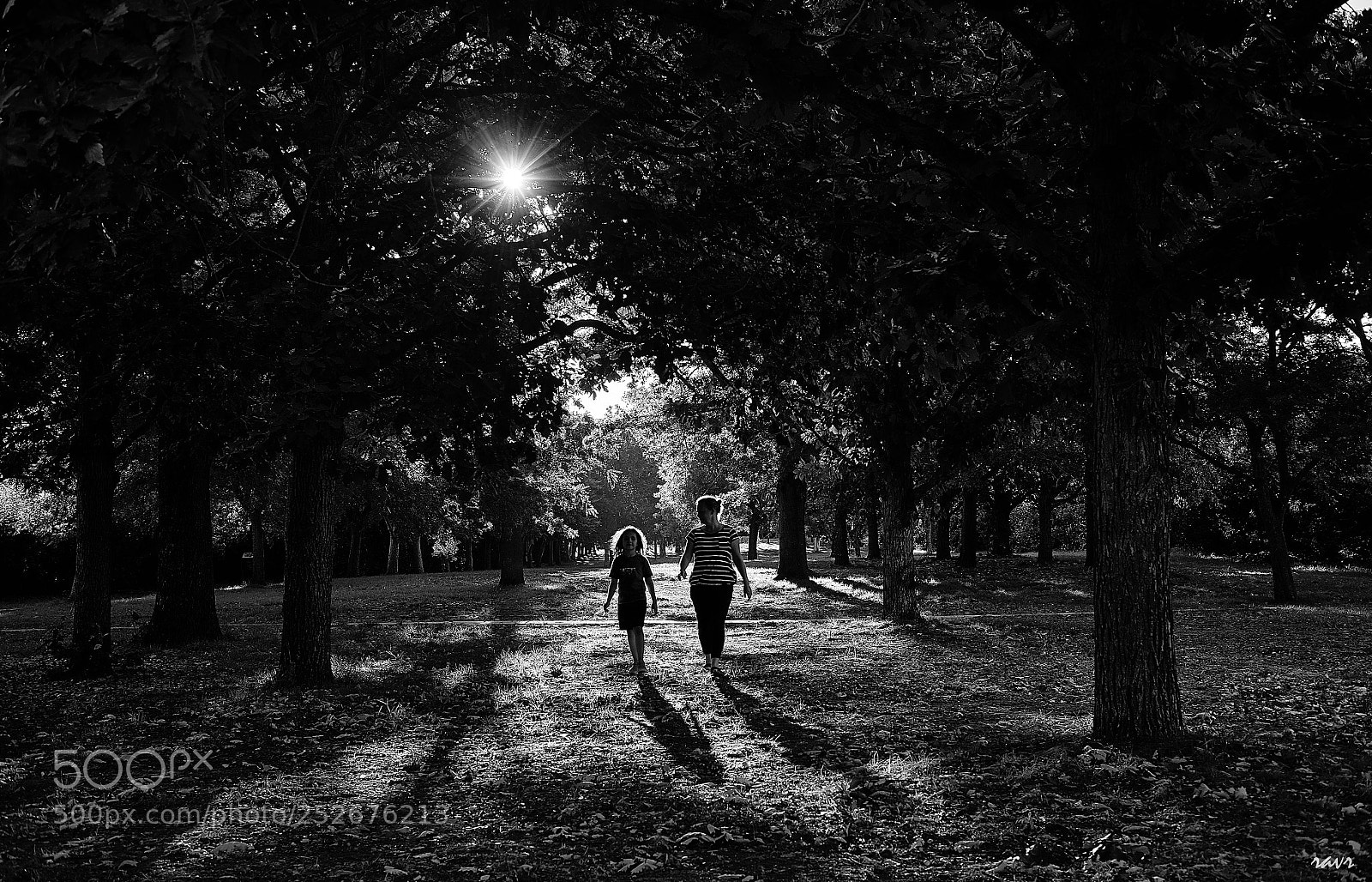 Fujifilm X-Pro2 sample photo. A walk in the photography
