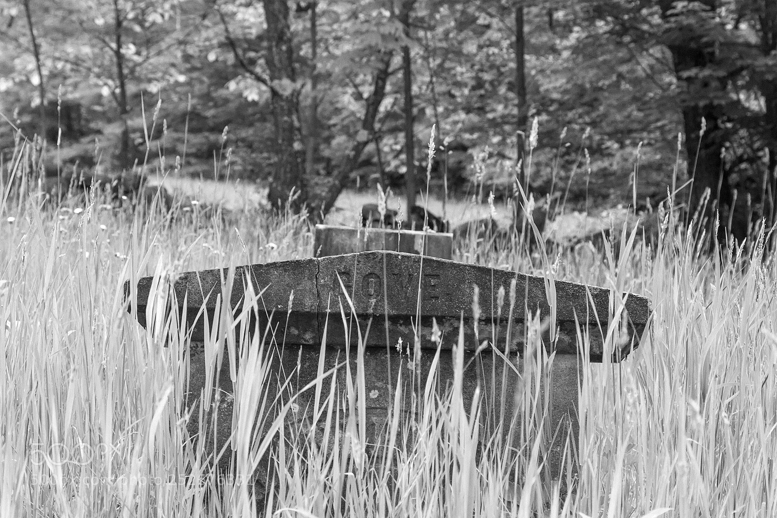 Canon EOS 7D sample photo. Strafford cemetery photography