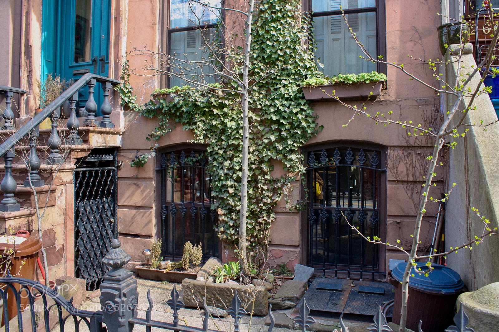 Canon EOS 1000D (EOS Digital Rebel XS / EOS Kiss F) sample photo. Park slope, march 2018 photography