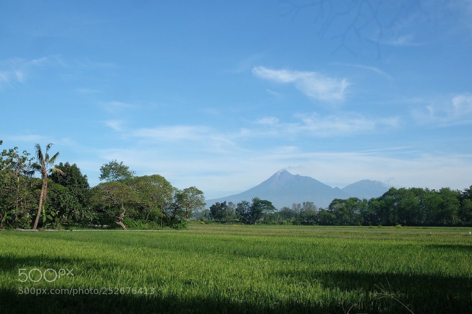 Fujifilm X-T1 sample photo. Untitled photography