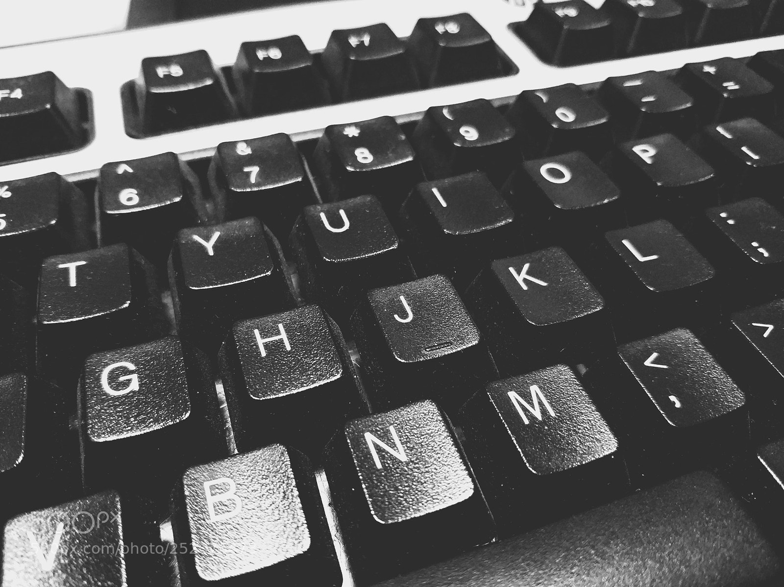Xiaomi MI6 sample photo. Untitled photography