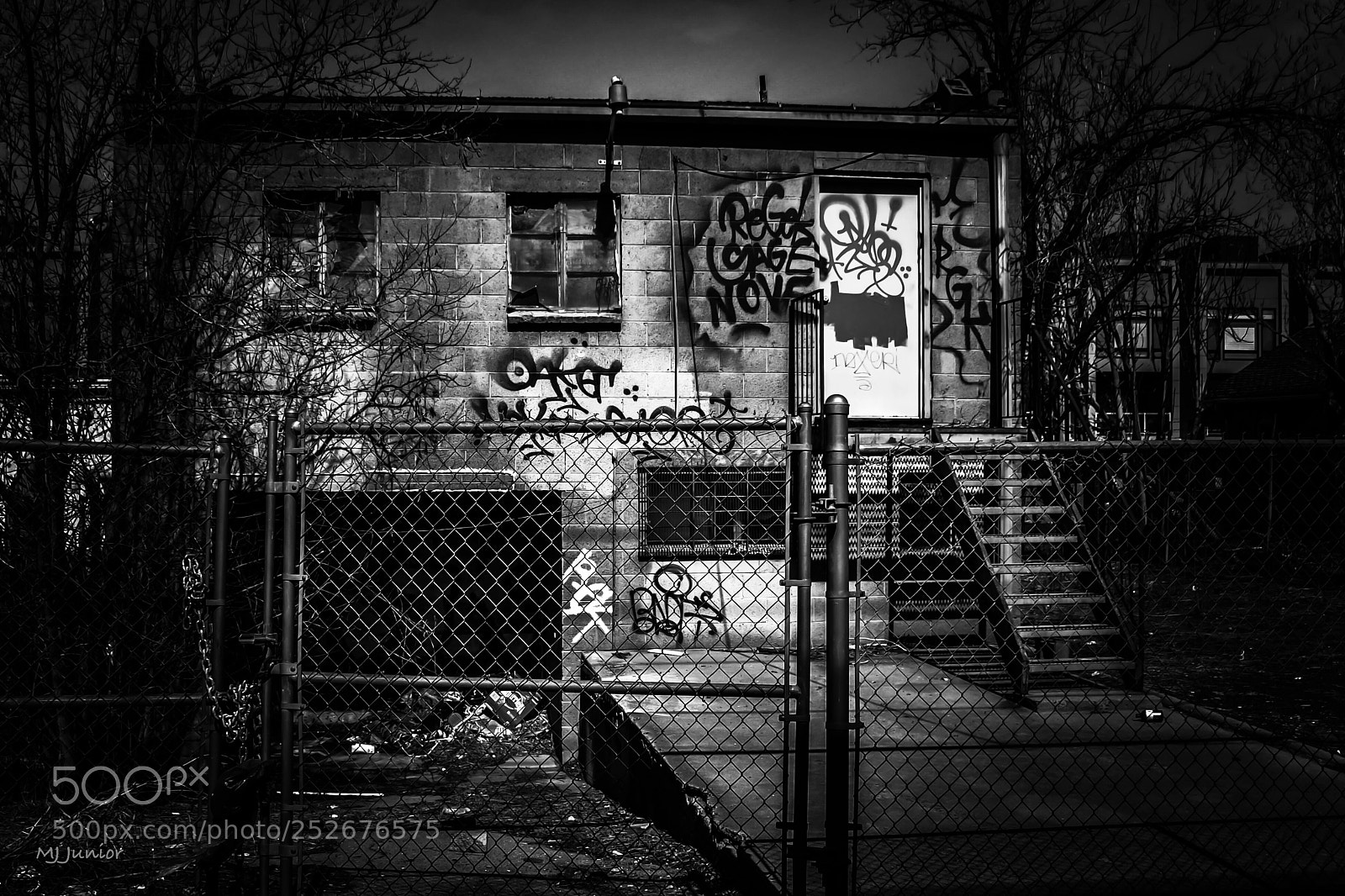 Nikon D7500 sample photo. Backyard... photography