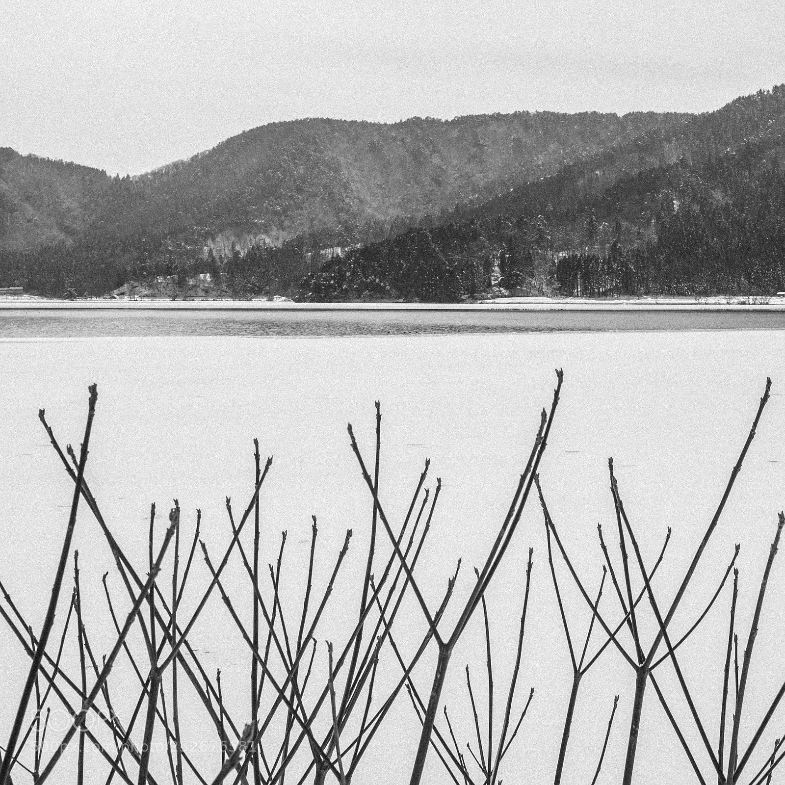 Olympus OM-D E-M1 sample photo. Untitled photography