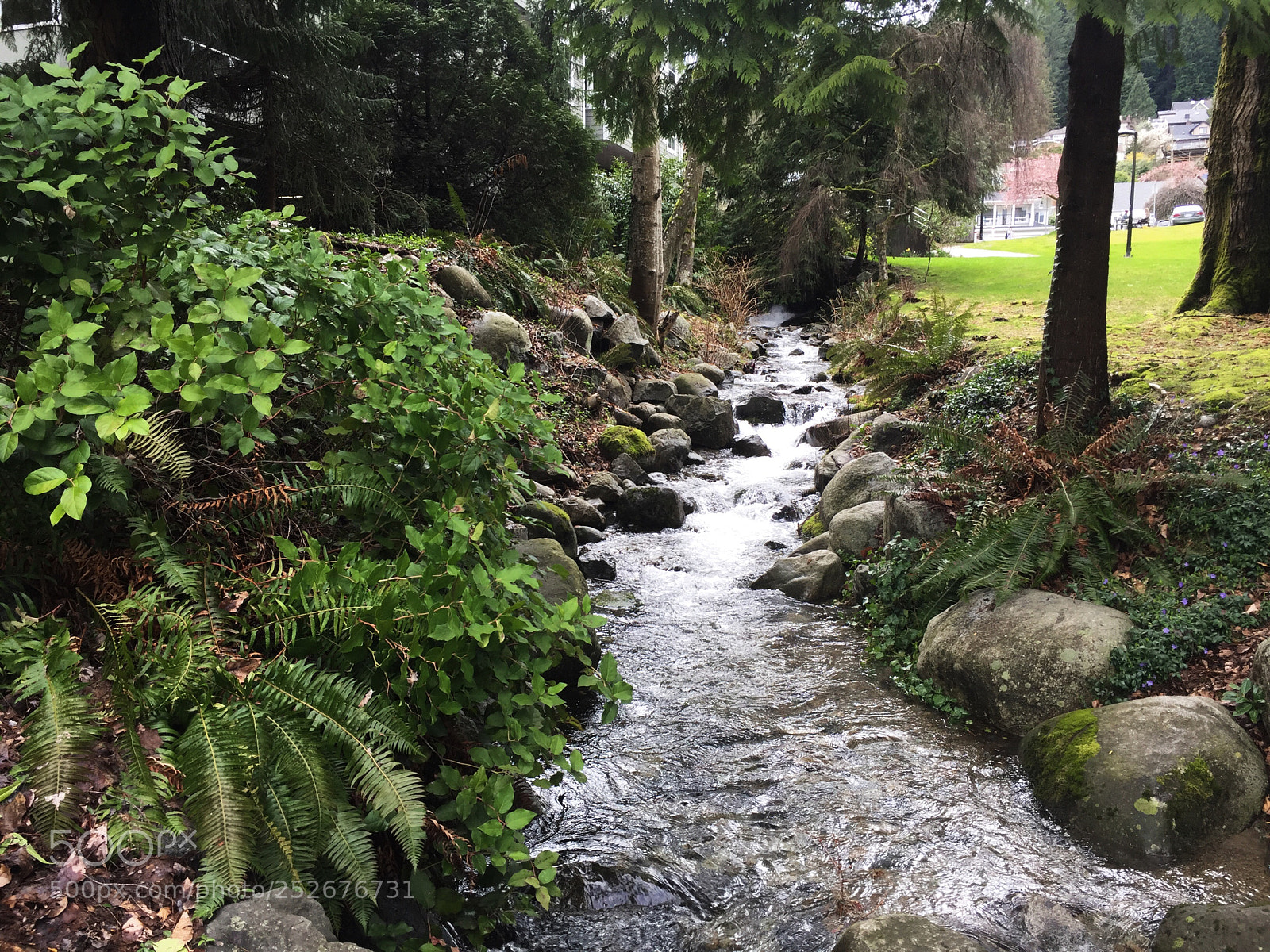 Apple iPhone 6 sample photo. Watercourse photography