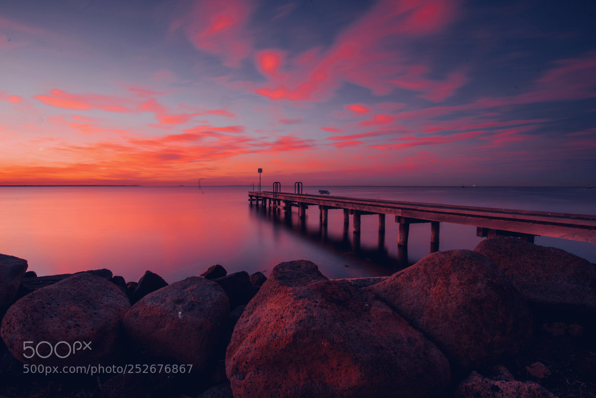 Sony a7R II sample photo. Dsc photography
