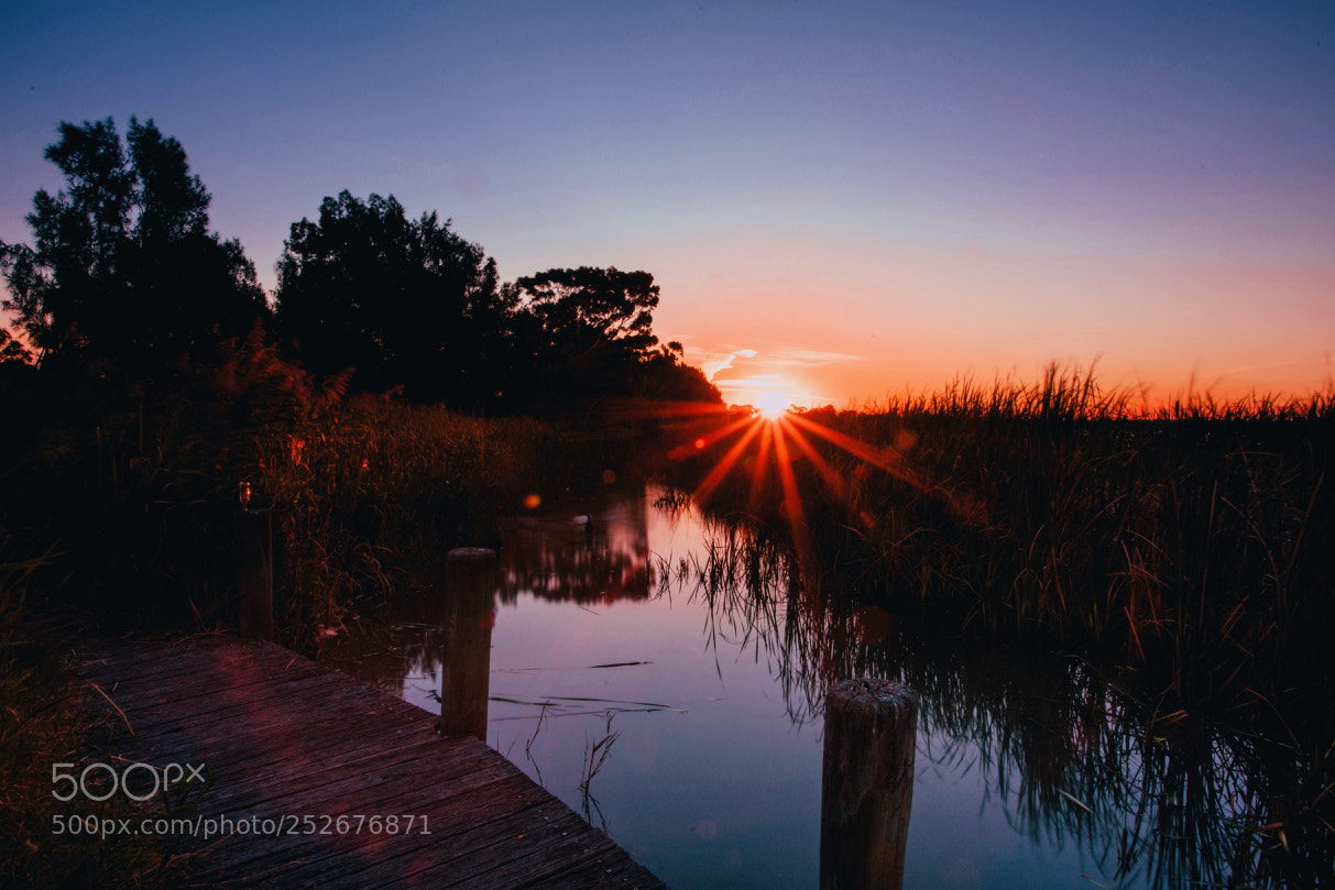 Sony a7R II sample photo. Dsc photography