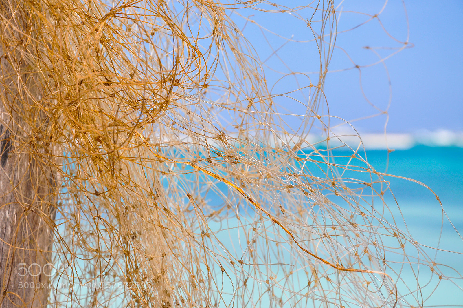 Nikon D90 sample photo. Untitled photography