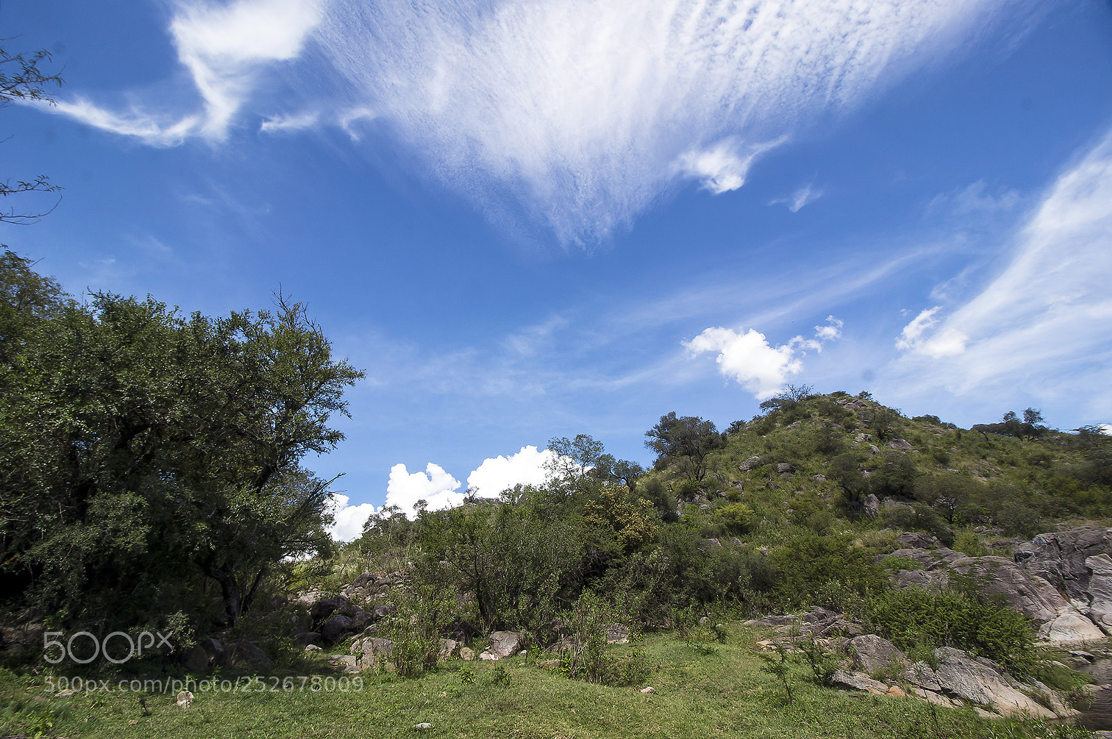 Sony Alpha NEX-5T sample photo. ..... photography