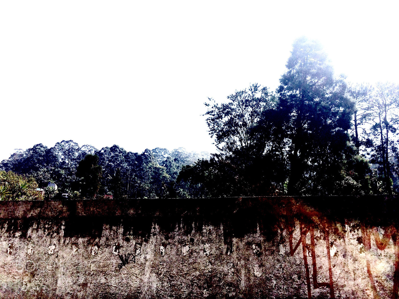 Apple iPhone 5s sample photo. Untitled photography