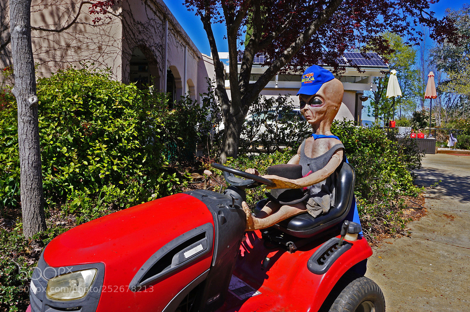 Sony a6000 sample photo. Grabbing a hat photography