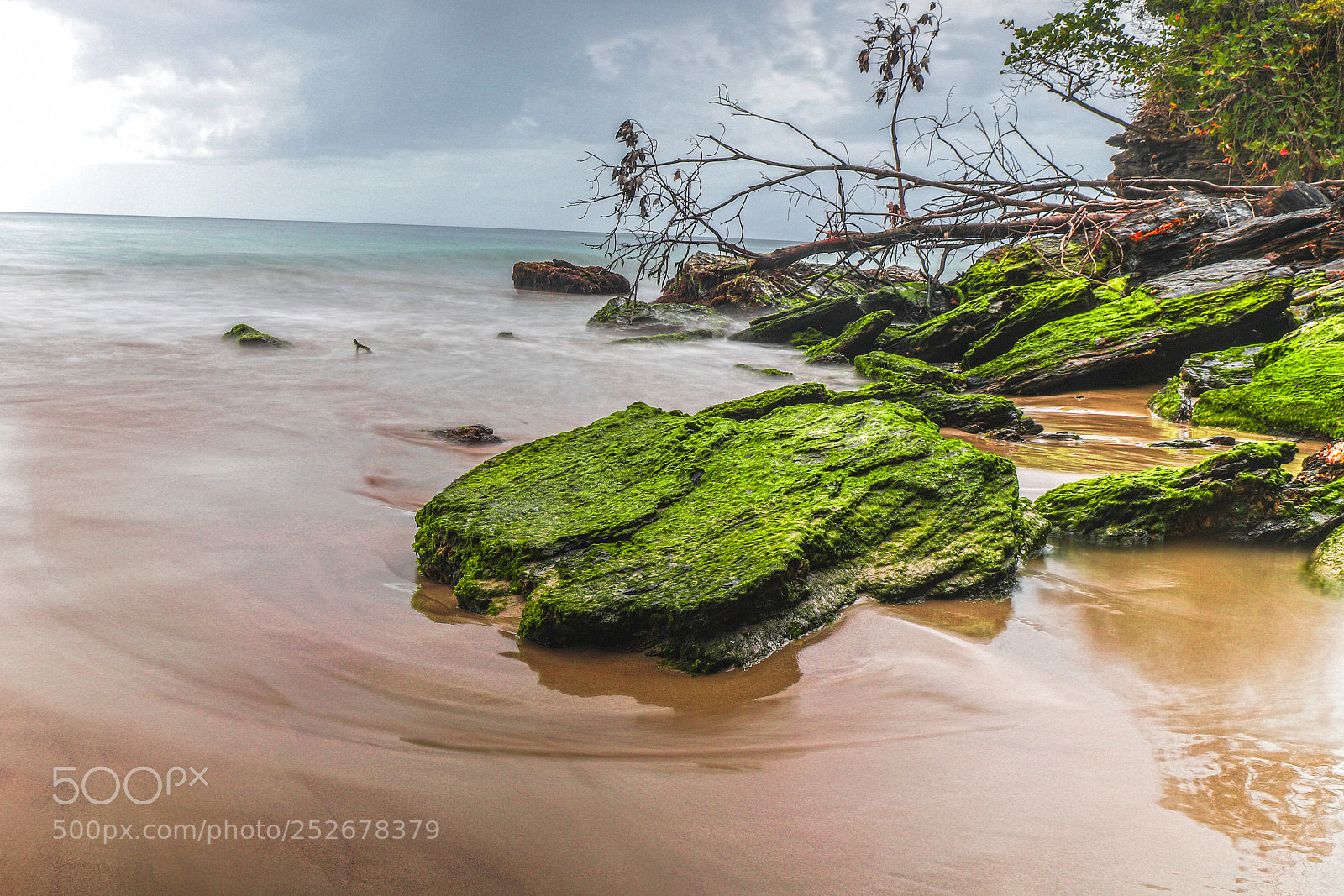 Canon EOS 6D Mark II sample photo. Mossy flow photography