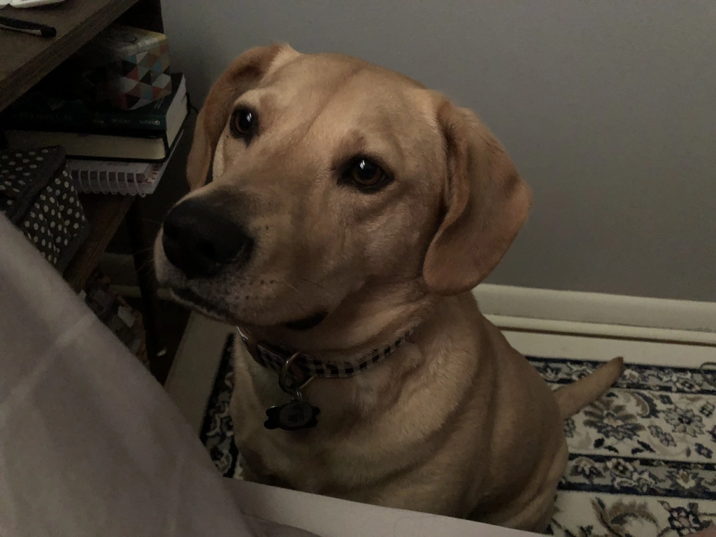 Untitled by Jacqueline and Kevin Reape on 500px.com