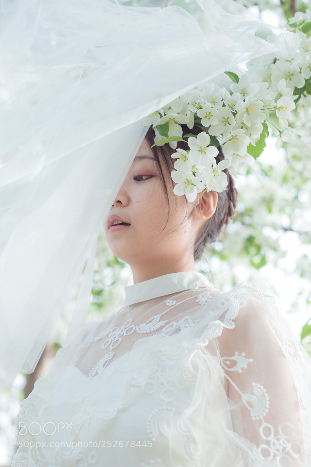 Canon EOS 6D Mark II sample photo. 海棠少女 photography