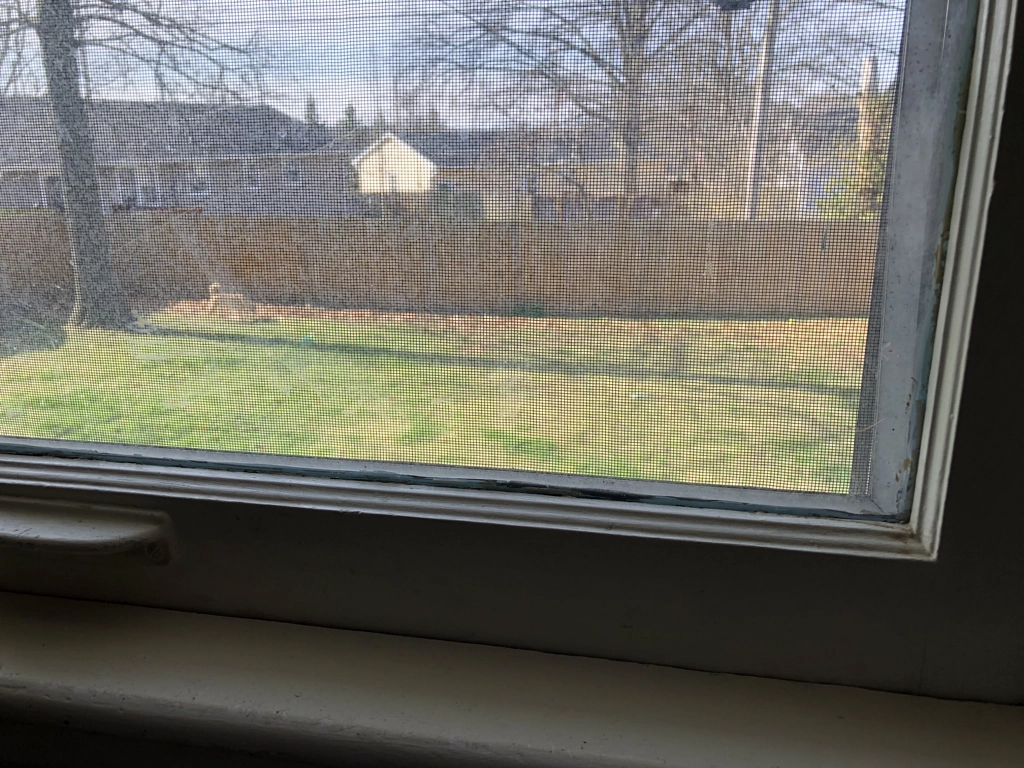 Untitled by Jacqueline and Kevin Reape on 500px.com