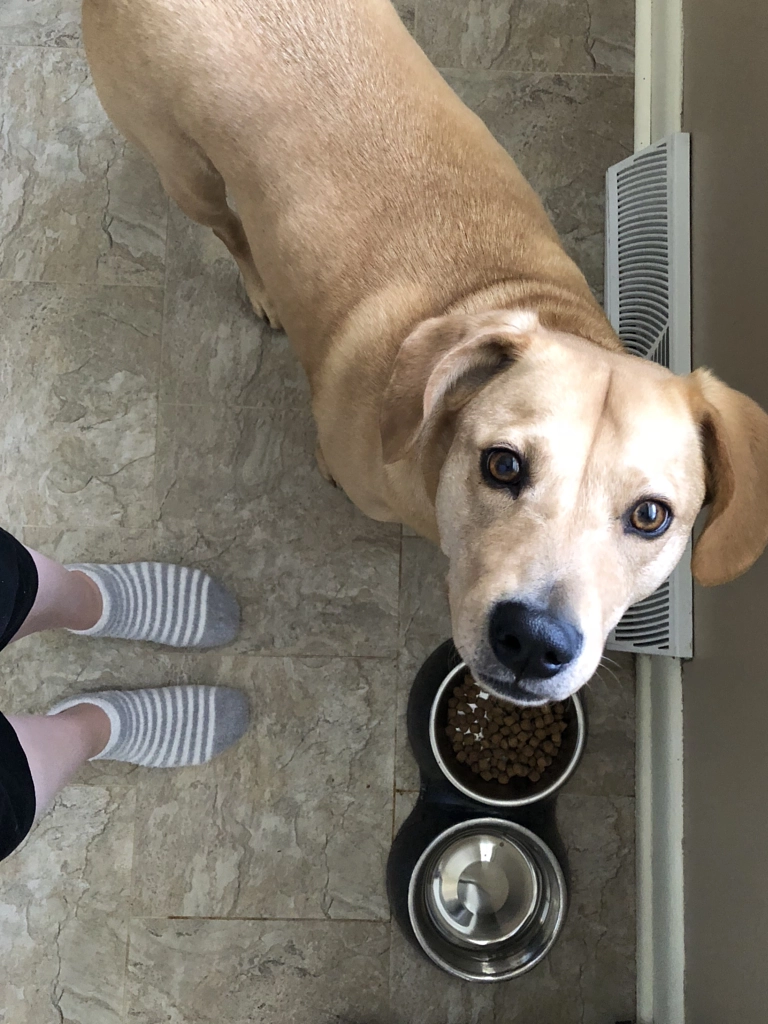 Untitled by Jacqueline and Kevin Reape on 500px.com