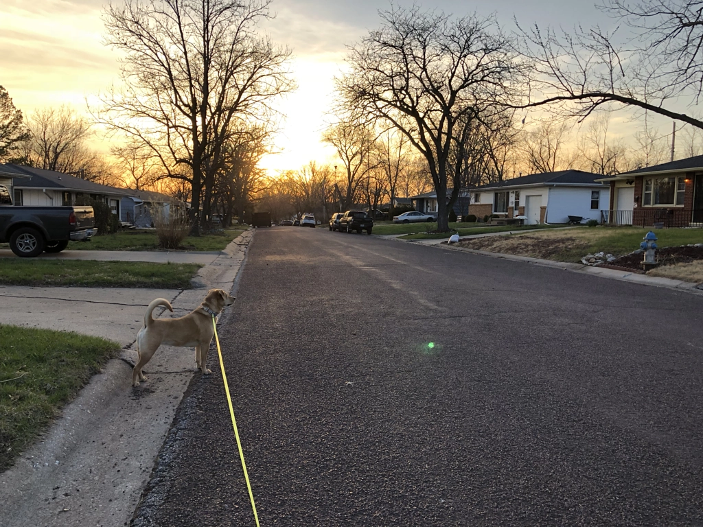 Untitled by Jacqueline and Kevin Reape on 500px.com