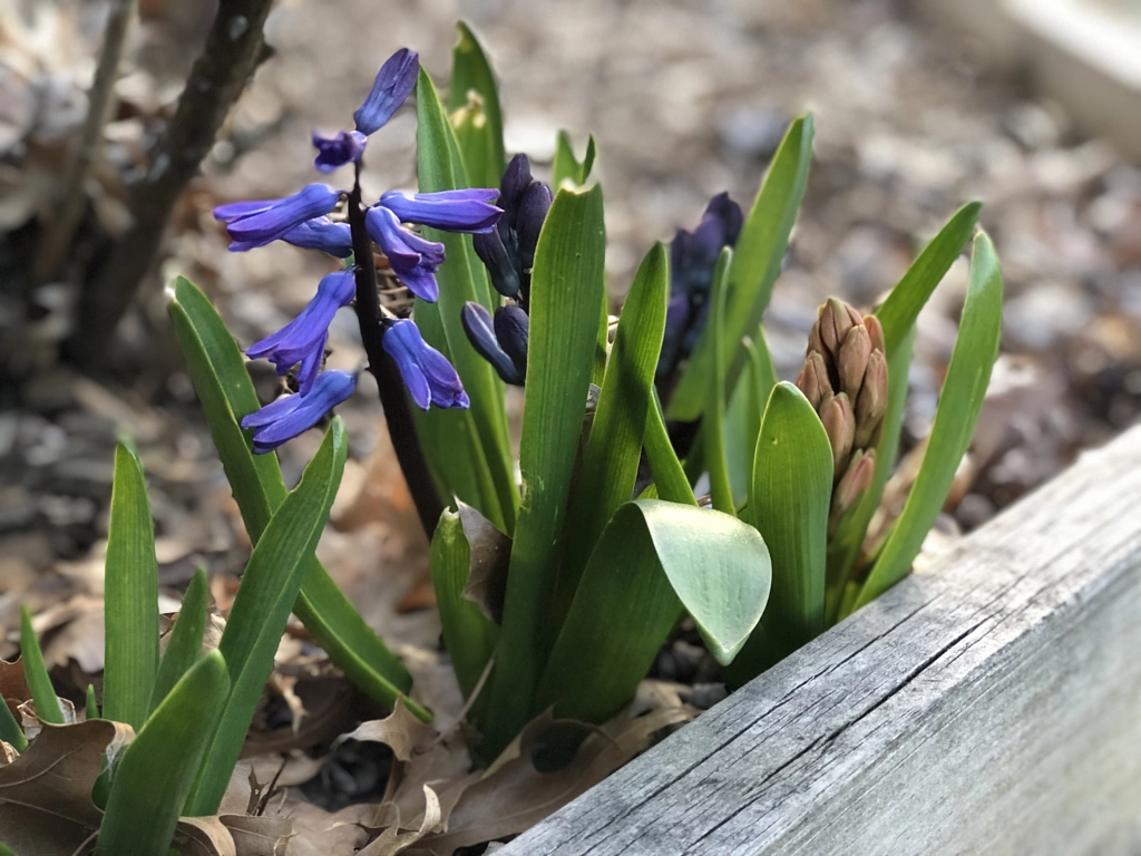 Untitled by Jacqueline and Kevin Reape on 500px.com