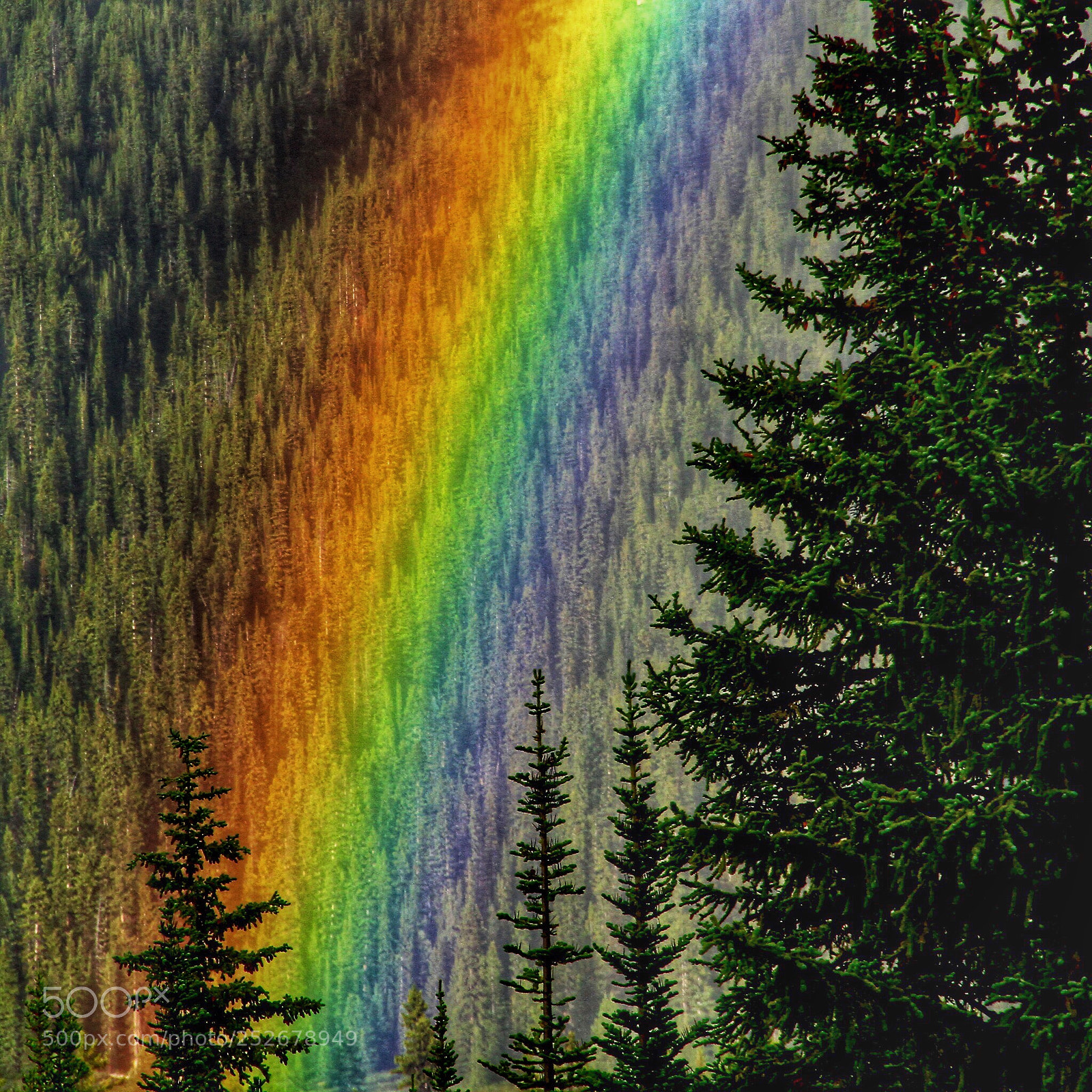 Canon EOS 7D sample photo. Rainbow！ photography