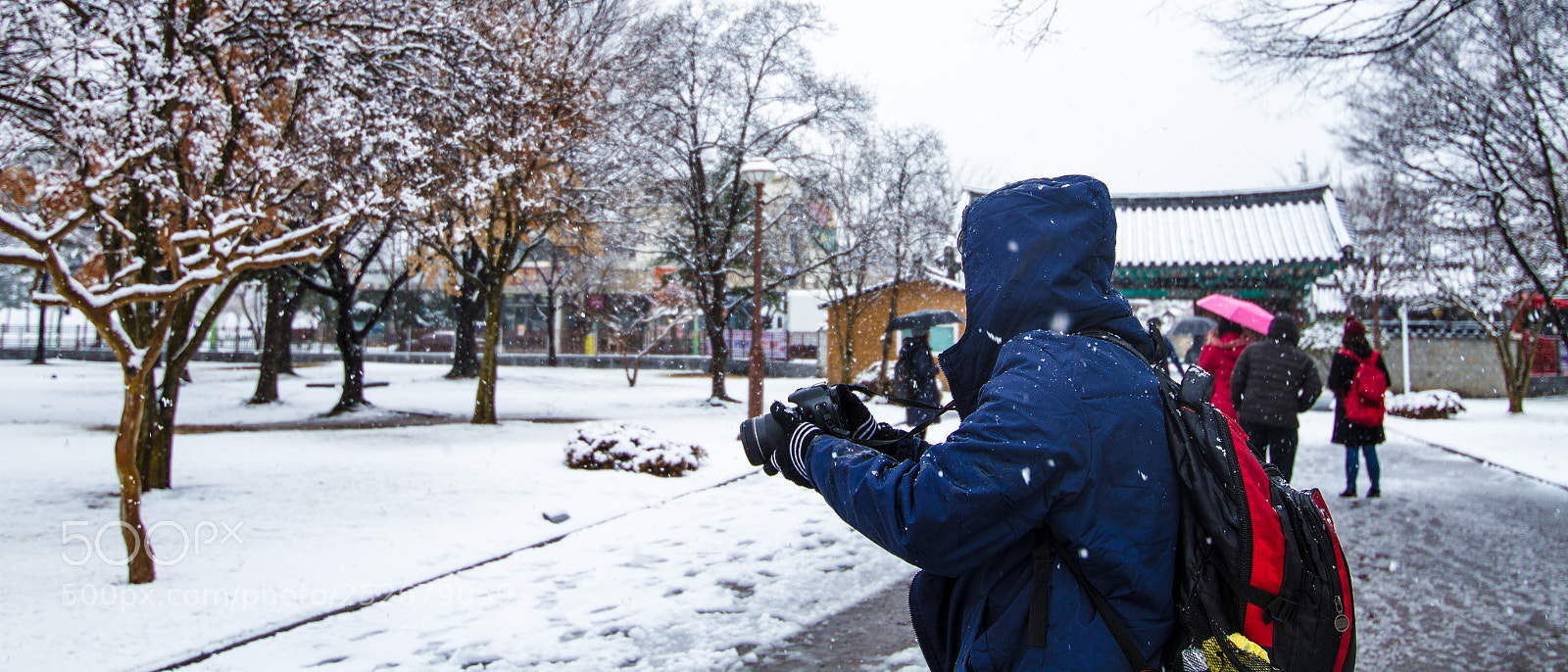 Canon EOS 7D sample photo. Camera shoot photography