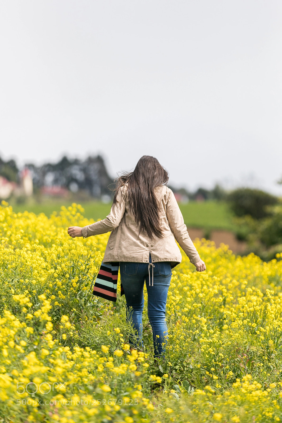 Canon EOS 5D Mark IV sample photo. Yellow mountain  photography