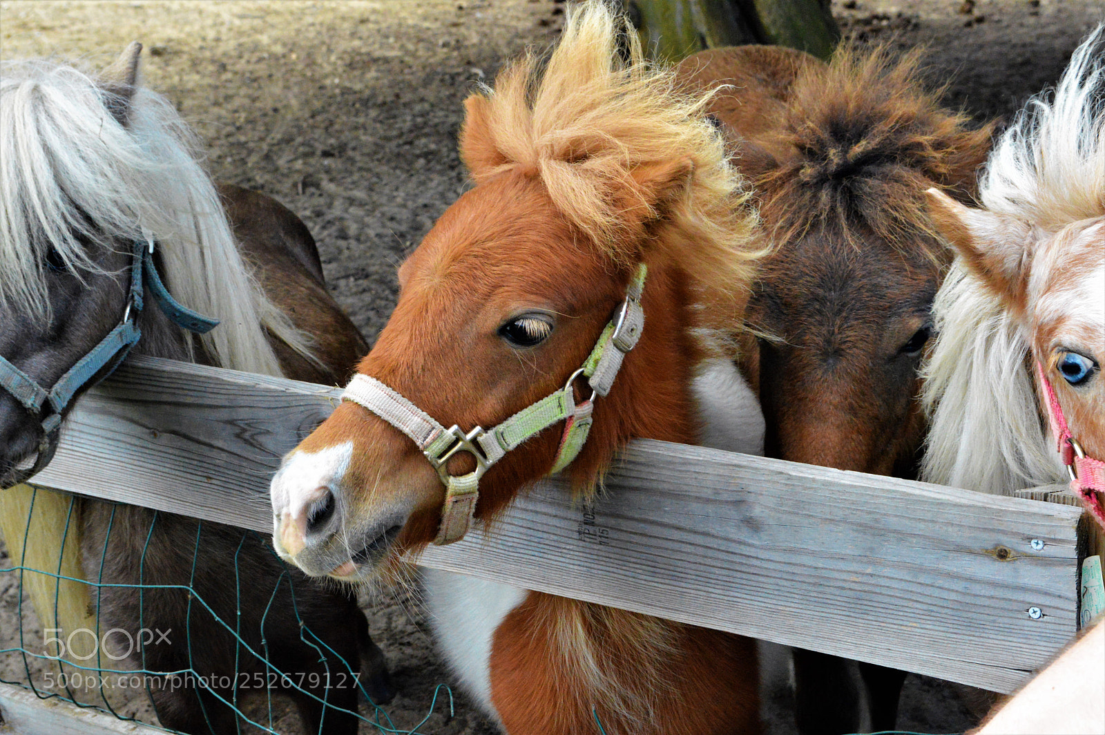 Nikon D3200 sample photo. Hope farms photography