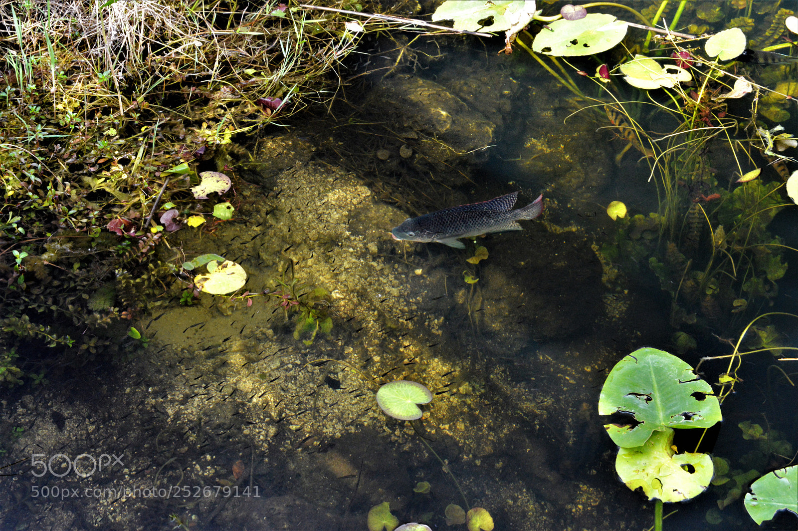 Nikon D3200 sample photo. () photography