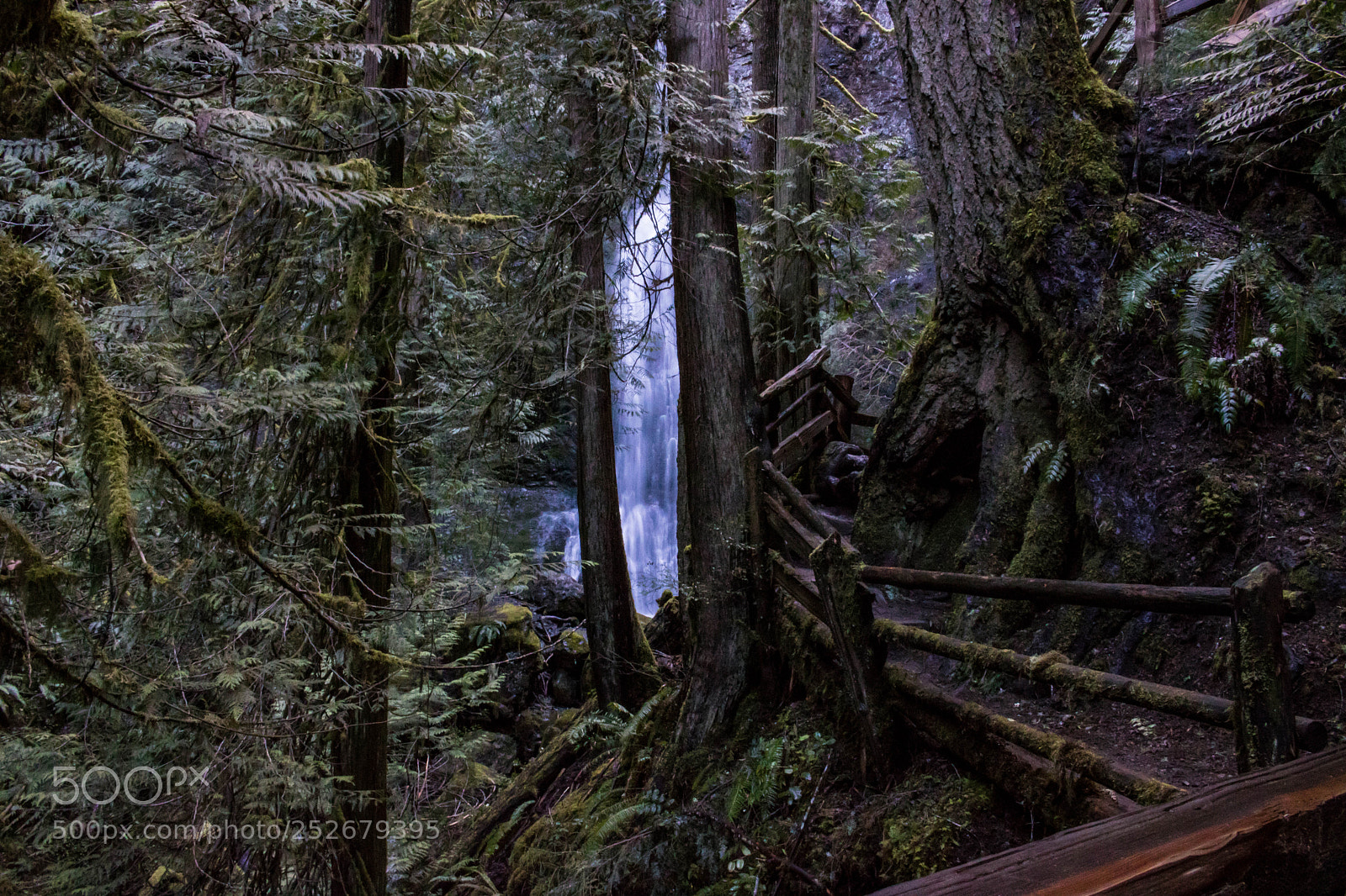 Canon EOS 750D (EOS Rebel T6i / EOS Kiss X8i) sample photo. Marymere trail photography