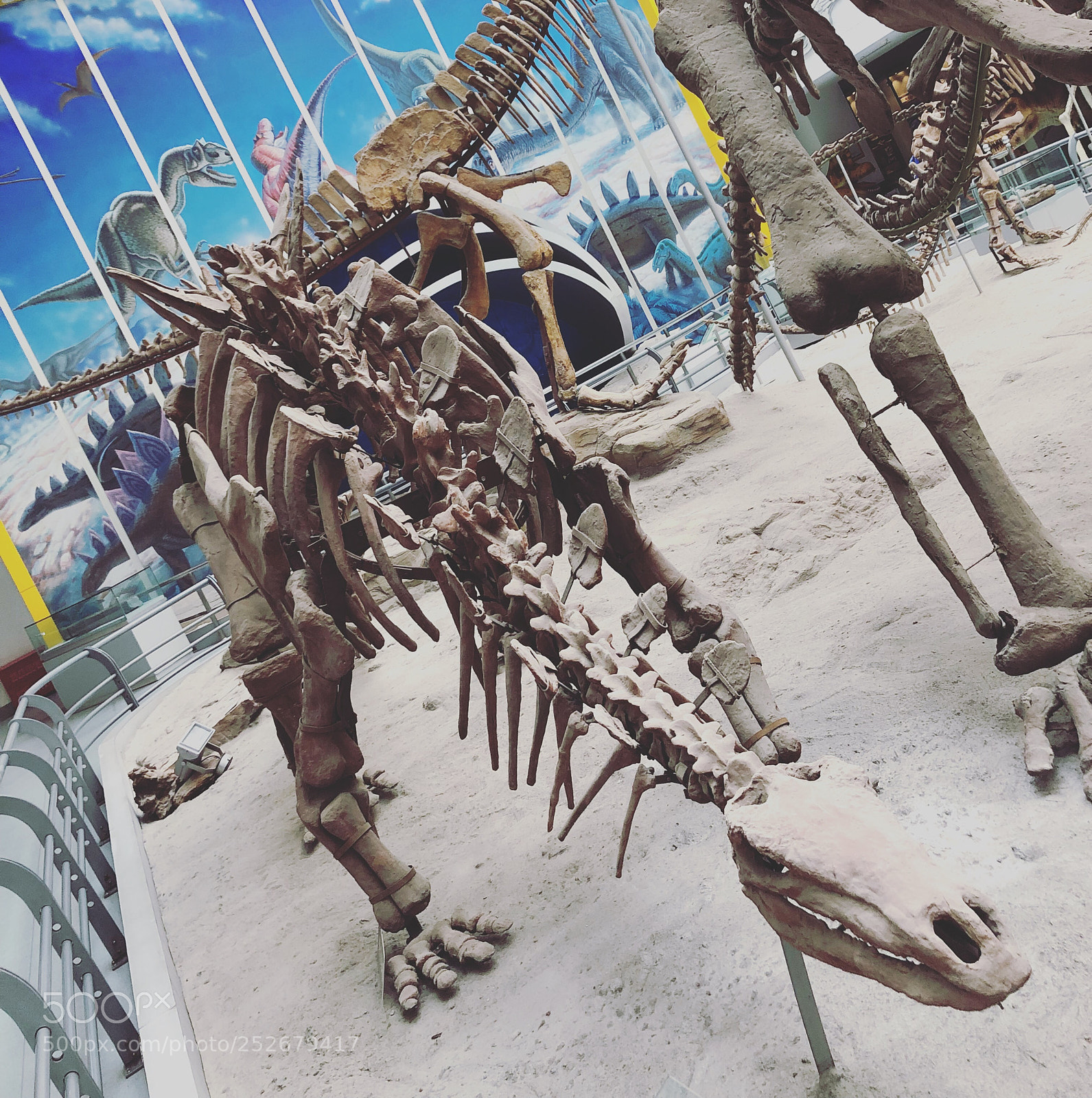 Apple iPhone 8 sample photo. Dinosaur skeleton photography