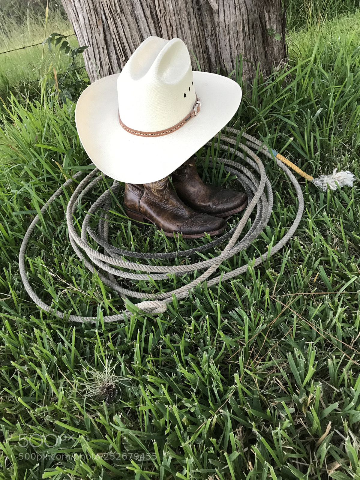 Apple iPhone 7 Plus sample photo. Img photography