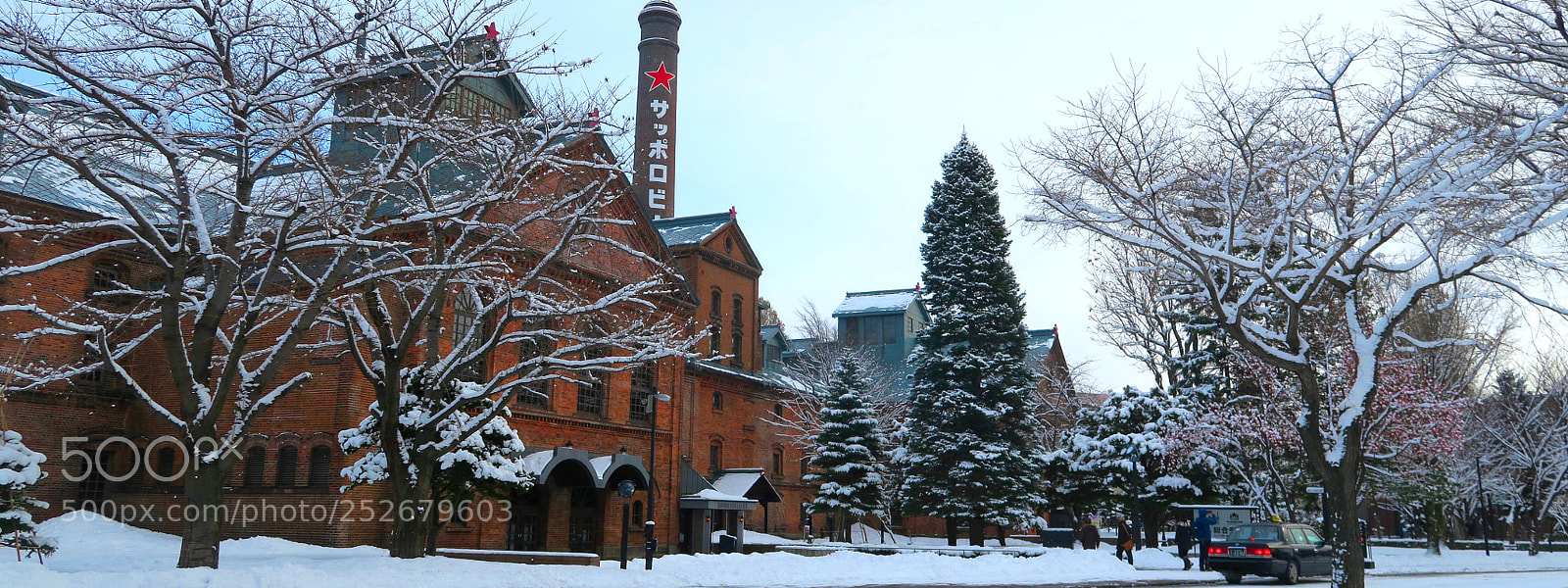 Canon PowerShot G7 X sample photo. Hokkaido x winter photography