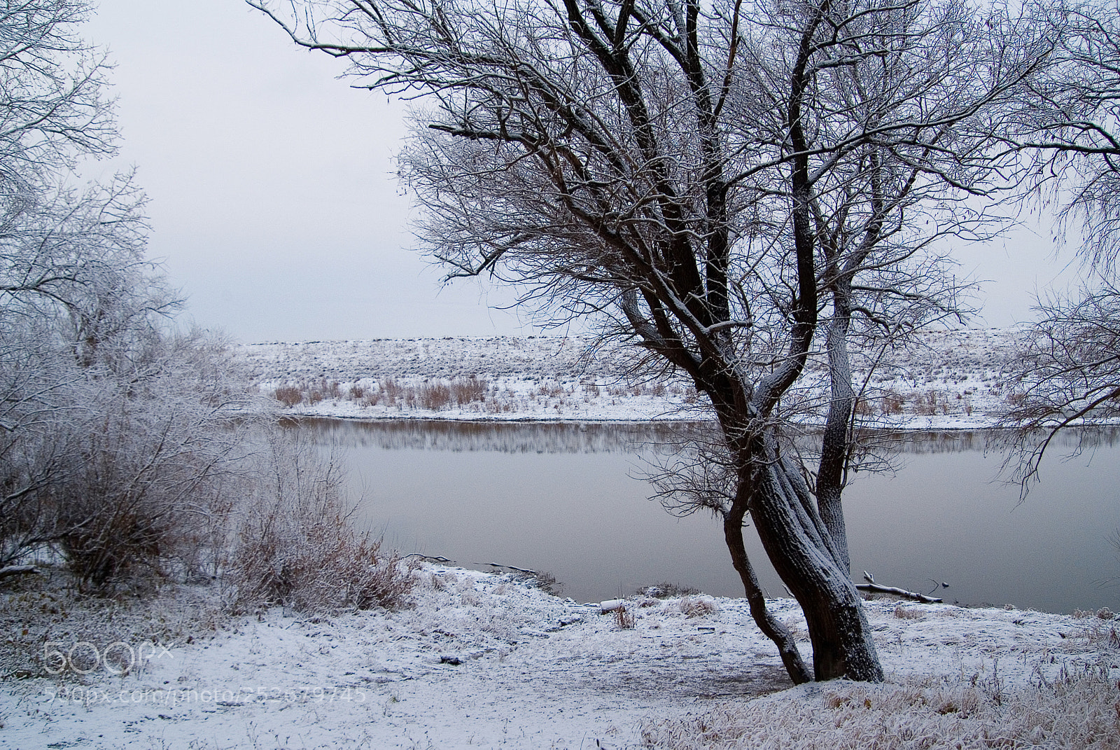 Fujifilm FinePix S3 Pro sample photo. Drawings of november photography