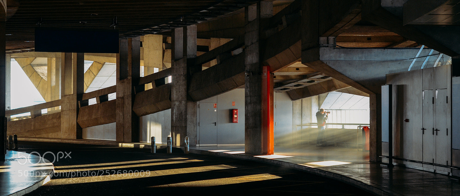 Nikon D7000 sample photo. Early bird photography