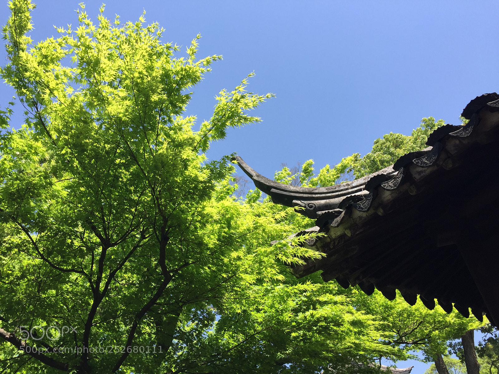 Apple iPhone 6 sample photo. Zhuozheng garden （拙政园）suzhou china photography