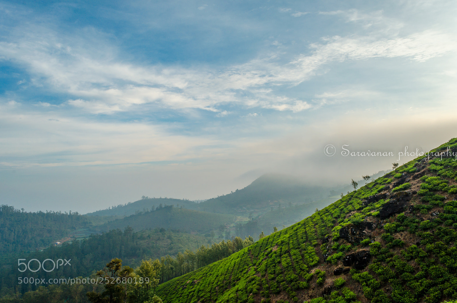 Nikon D5100 sample photo. Serene photography