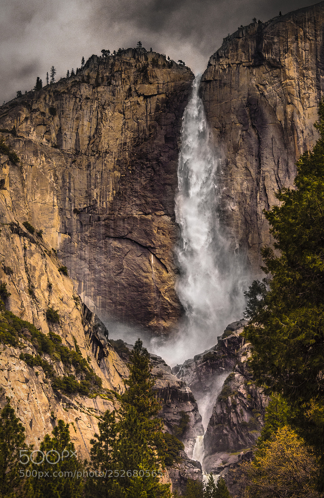 Nikon D810 sample photo. Yosmite falls morning light photography