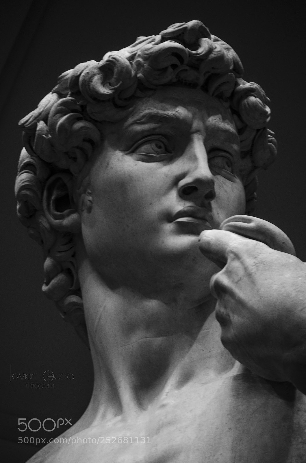 Nikon D5100 sample photo. David photography