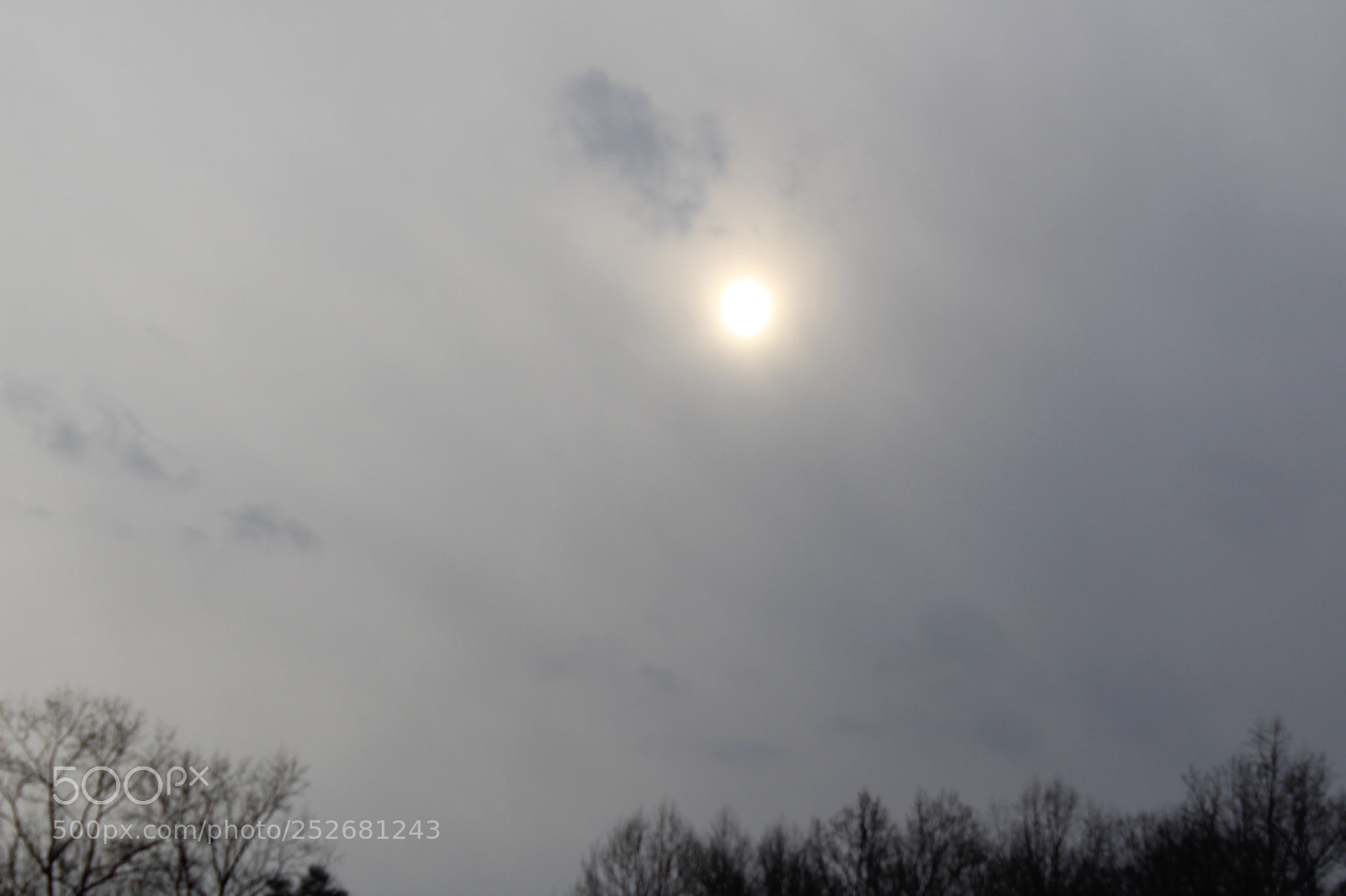 Canon EOS 1300D (EOS Rebel T6 / EOS Kiss X80) sample photo. Cloudy spring day photography