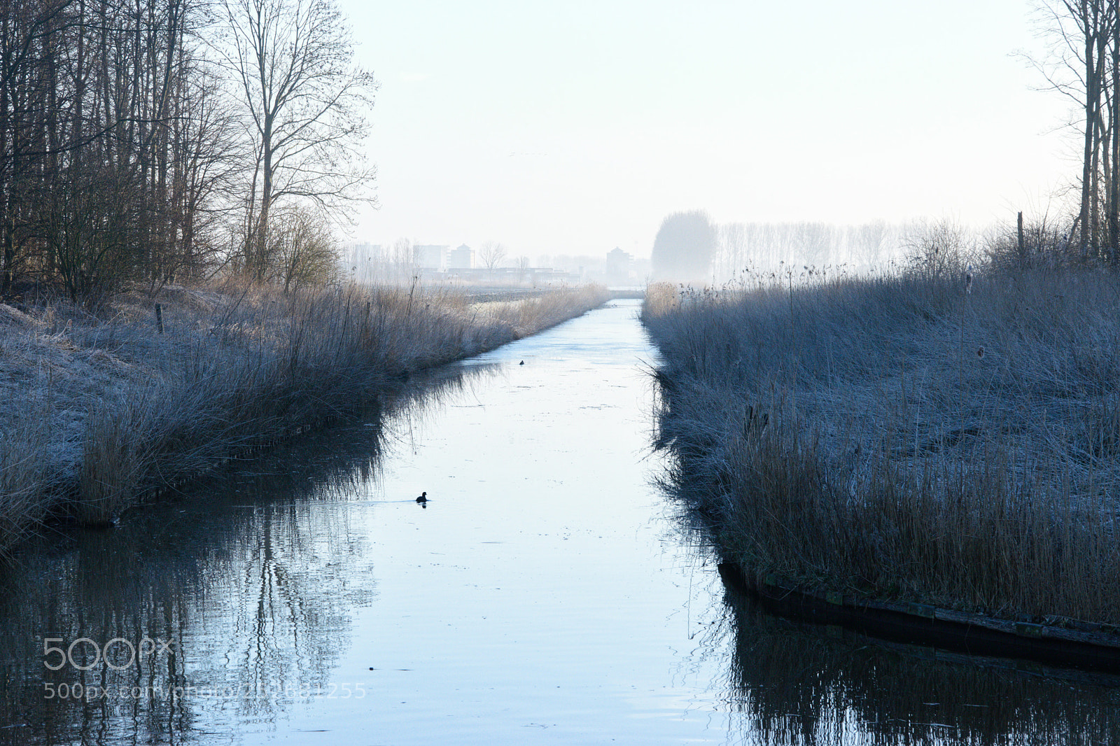 Nikon D5300 sample photo. Peacefull morning photography
