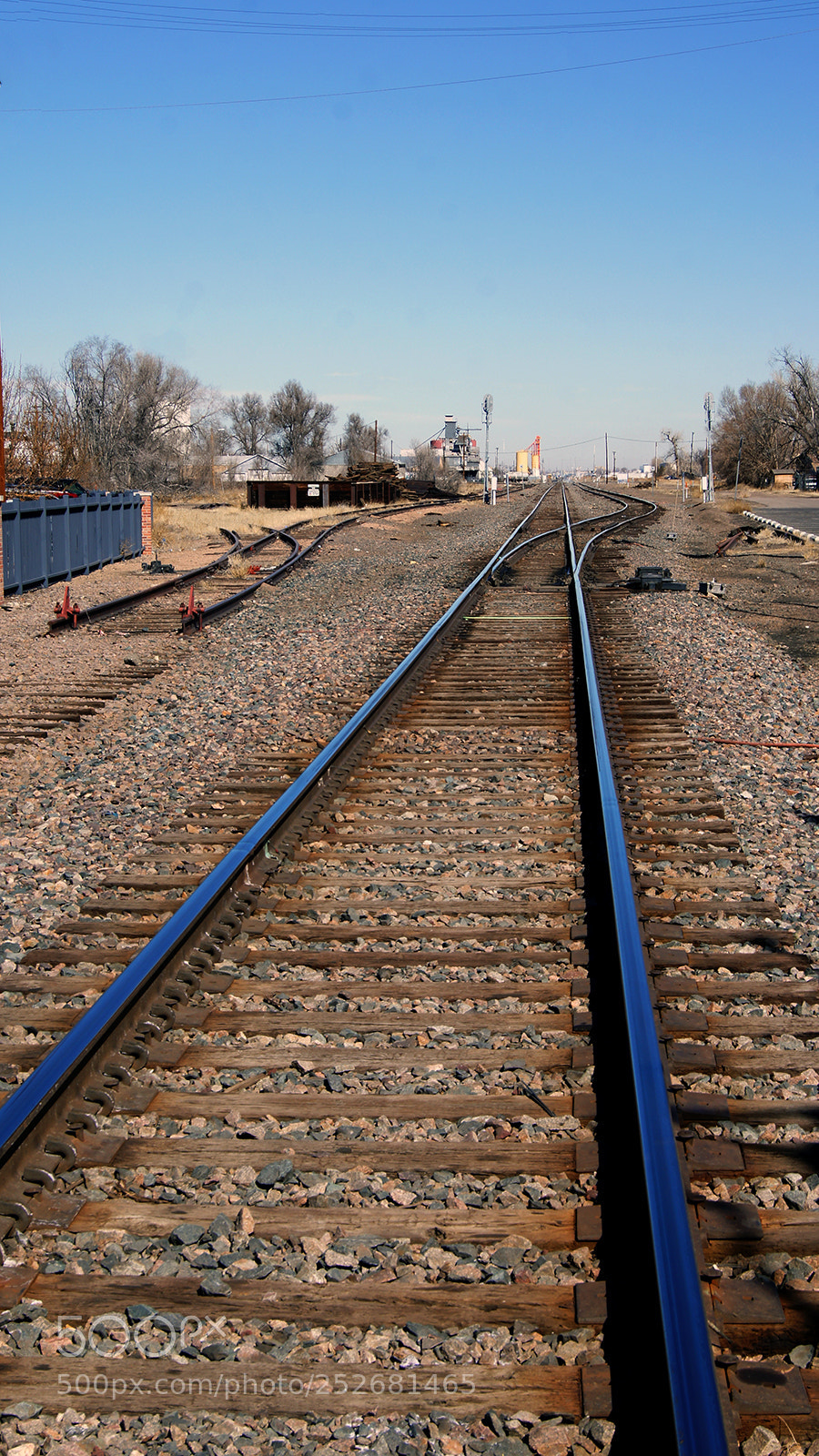Sony SLT-A55 (SLT-A55V) sample photo. Blue steel photography