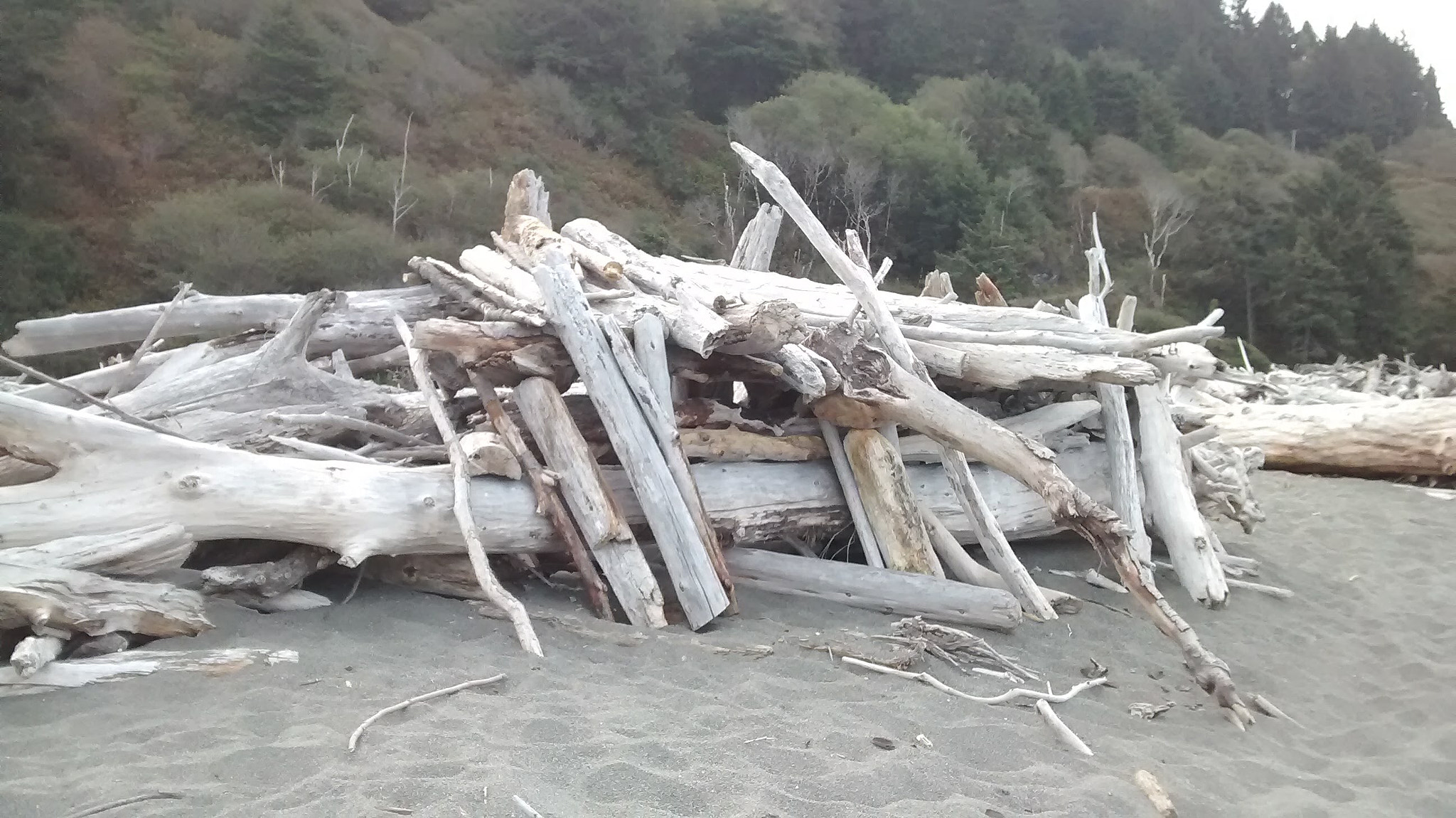 Motorola Moto E (1st Gen) sample photo. Driftwood photography