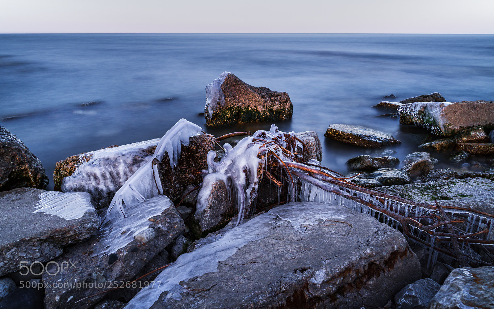 Sony a7R III sample photo. Winter is almost dead photography