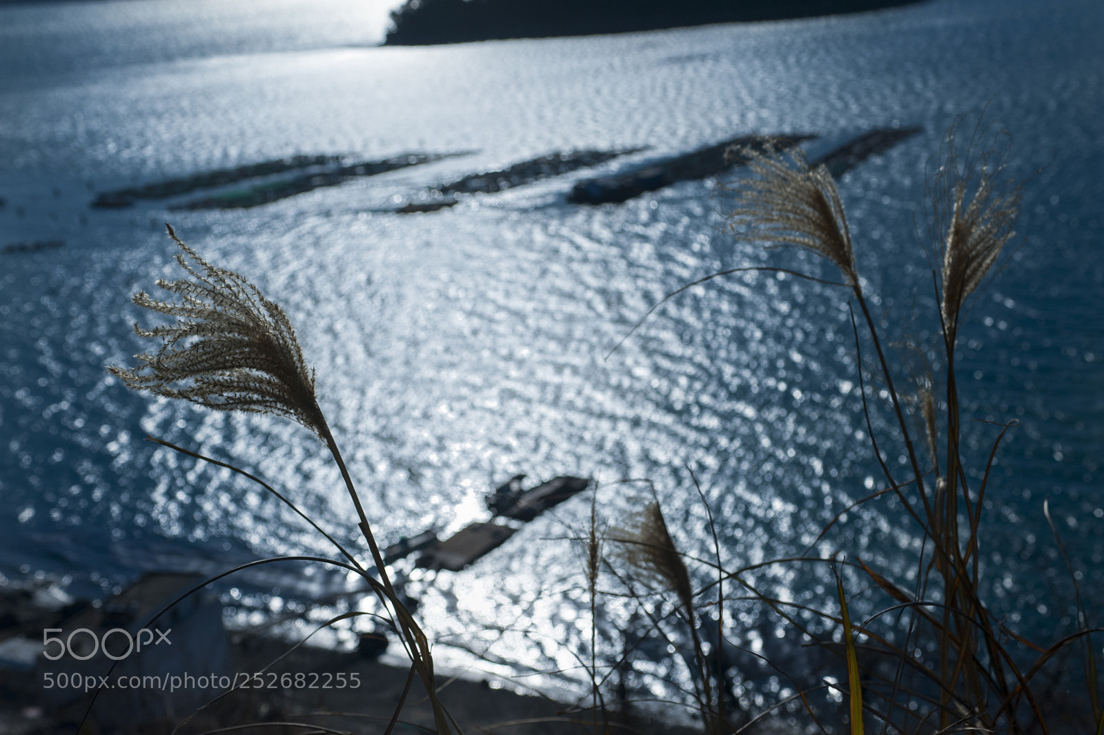 Nikon D700 sample photo. On the road 2 photography